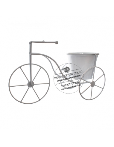 Bicicleta Decorativa